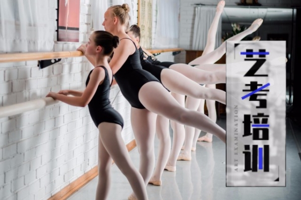 艺术生考试培训项目招生简章