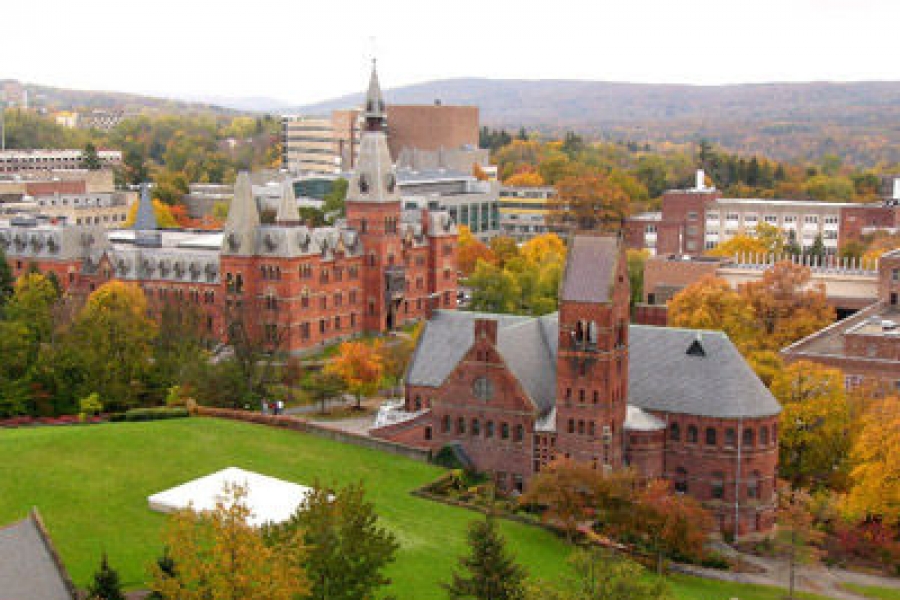 美国康奈尔学院